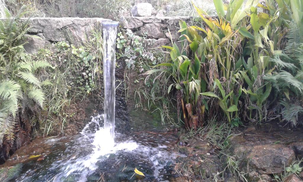 Ongamira Turismo Rural Córdoba Ngoại thất bức ảnh