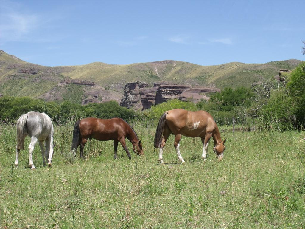 Ongamira Turismo Rural Córdoba Ngoại thất bức ảnh