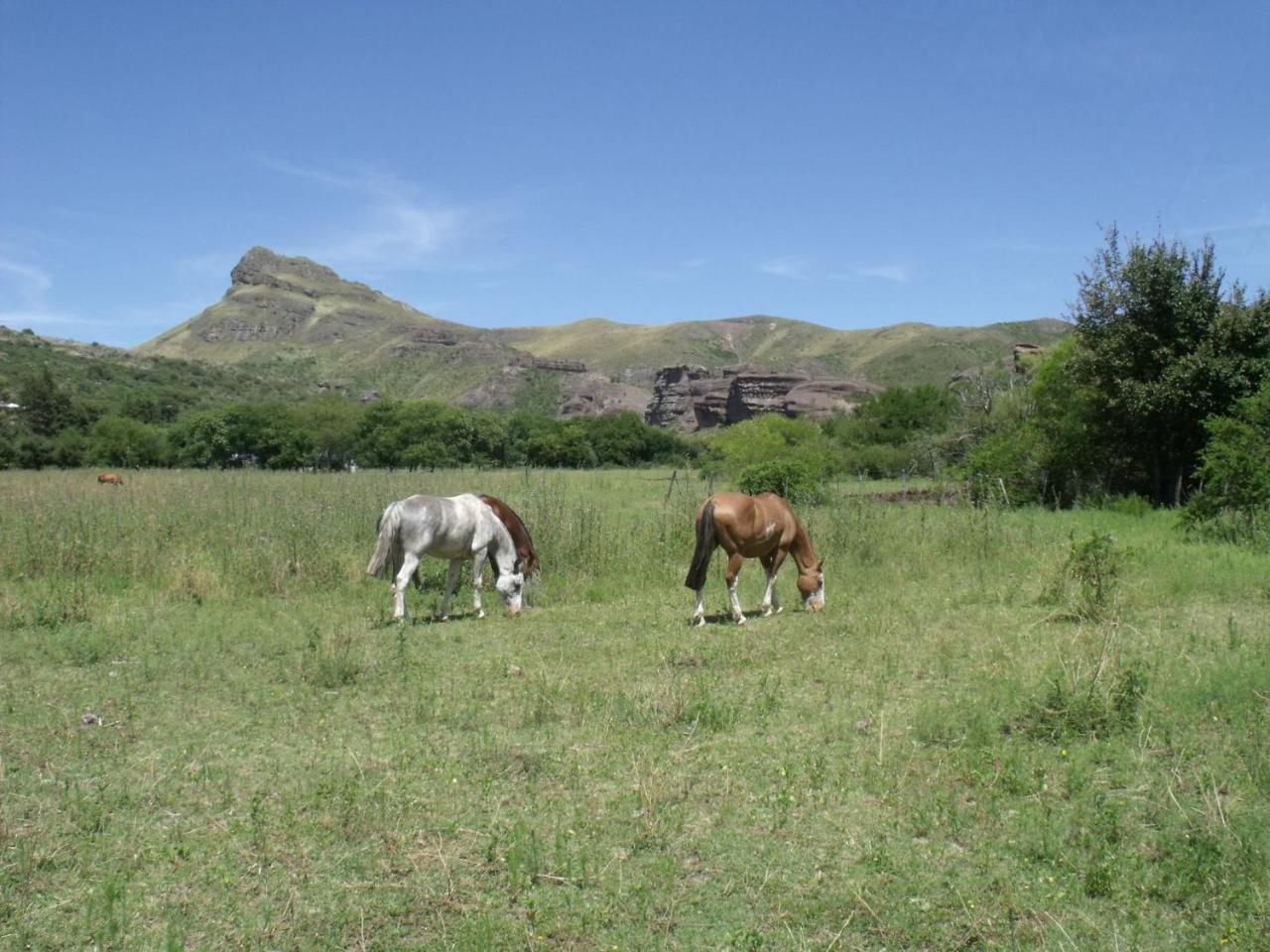 Ongamira Turismo Rural Córdoba Ngoại thất bức ảnh